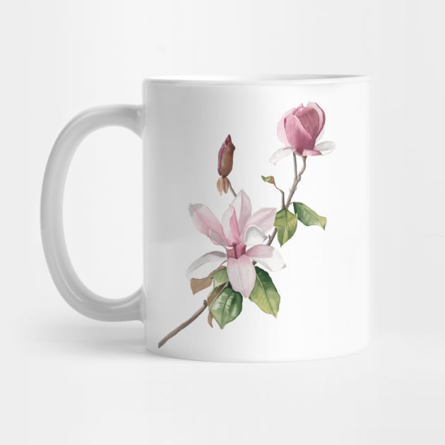 Blush magnolia flowers by InnaPatiutko